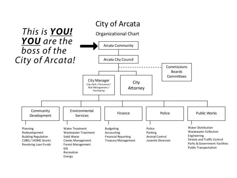 Who’s in Charge of Arcata’s Future? Brett Watson